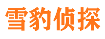 银川侦探